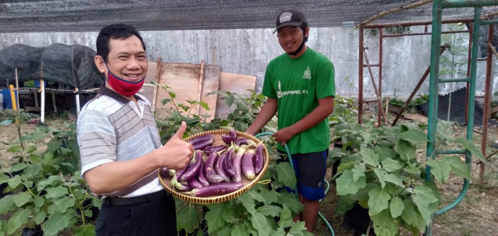Pramuka Kota Semarang Berkebun