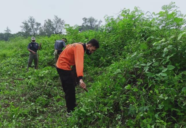 Pagi Ini Pramuka Solo Bersihkan Area Makam Pahlawan Jurug Pagi Ini Pramuka Solo Bersihkan Area Makam Pahlawan Jurug
