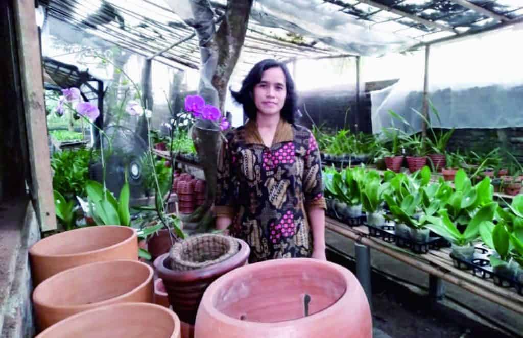 Melihat Oemah Anggrek Kirana Purbalingga Milik Kak Sri Endah Swarastuti