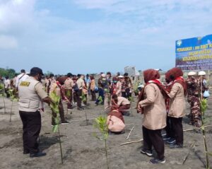 Saka Wira Kartika Budjang Salim Aceh Utara Tanam Mangrove di Pulau Semadu Rancung – Warta Pramuka
