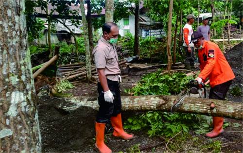 KWARCAB PURBALINGGA – Pramuli Purbalingga Bergerak Bantu Korban Putting Beliung di Karanggedang KWARCAB PURBALINGGA - Pramuli Purbalingga Bergerak Bantu Korban Putting Beliung di Karanggedang