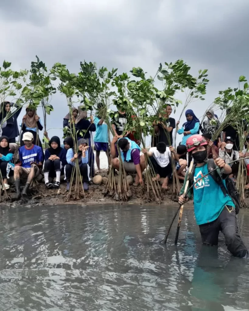 Pramuka Destra dan PMR Unit SMKN 1 Warungasem Berkolaborasi Menanam Mangrove di Denasri Kulon